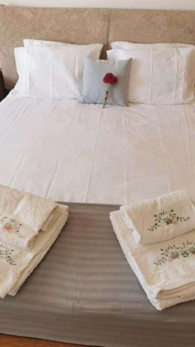 Amazing Lodge By The Ocean - Fully Equipped! Ericeira Eksteriør bilde